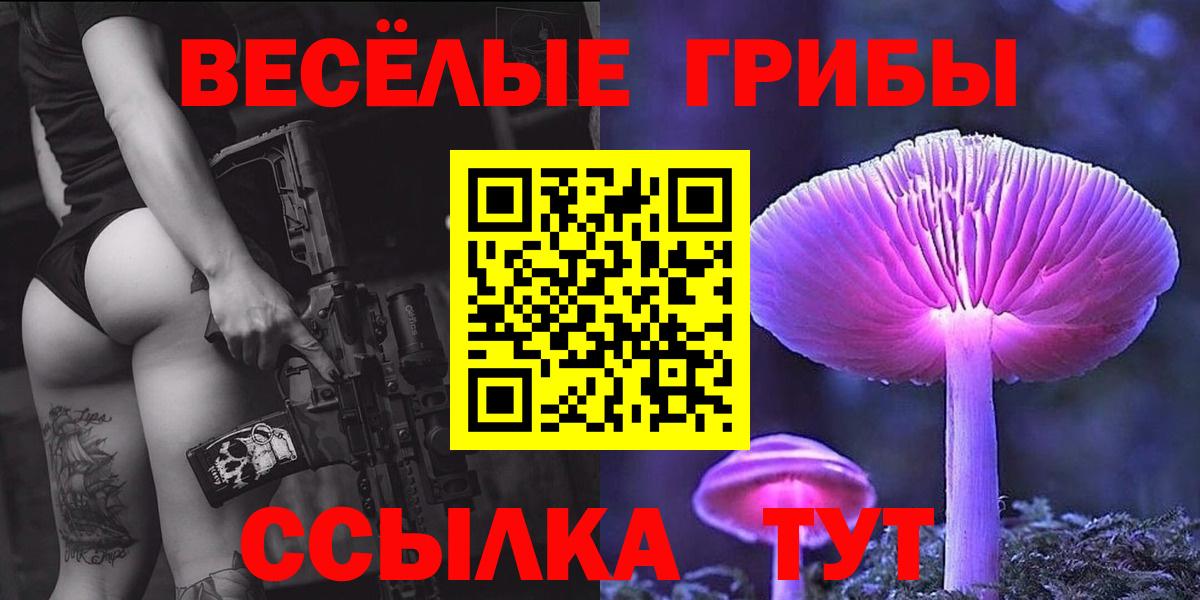 купить наркотики сайты  Псилоцибиновые грибы MAGIC MUSHROOMS  Галлюциногенные грибы Psilocybe  Вход с VPN  Канск 